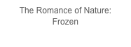 The Romance of Nature:  Frozen
